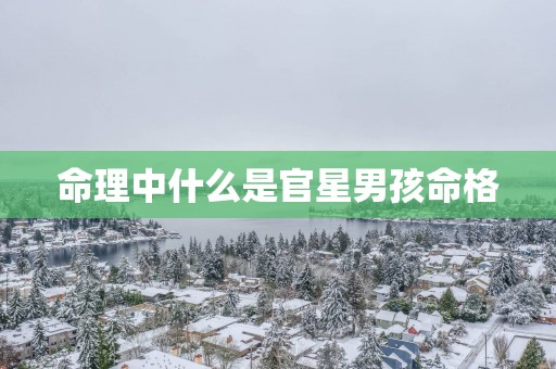 命理中什么是官星男孩命格