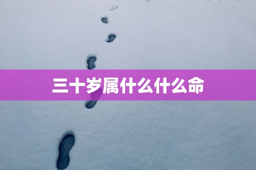 三十岁属什么什么命