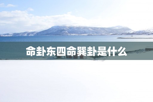 命卦东四命巽卦是什么