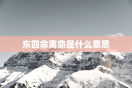 东四命离命是什么意思