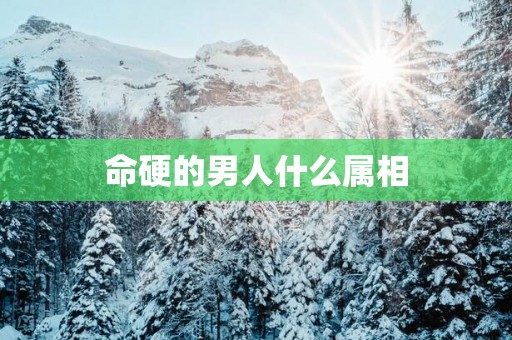 命硬的男人什么属相