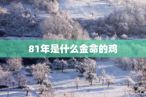 81年是什么金命的鸡