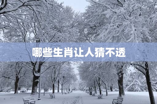 哪些生肖让人猜不透