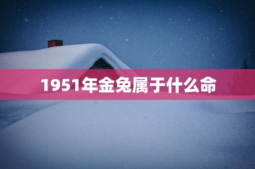 1951年金兔属于什么命