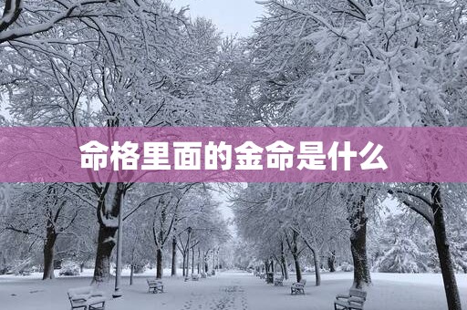 命格里面的金命是什么