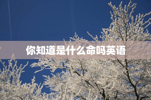 你知道是什么命吗英语