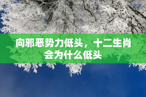 向邪恶势力低头，十二生肖会为什么低头