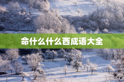 命什么什么西成语大全