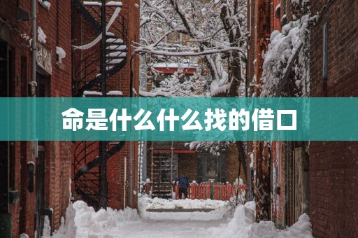 命是什么什么找的借口