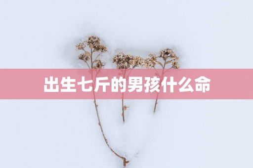 出生七斤的男孩什么命