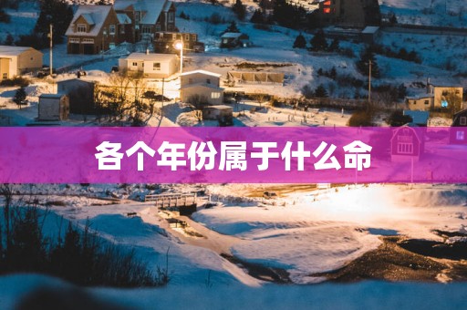 各个年份属于什么命