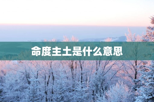 命度主土是什么意思