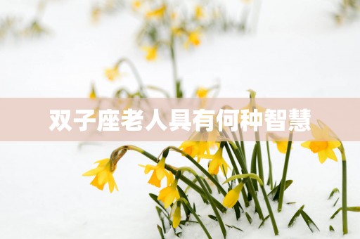 双子座老人具有何种智慧