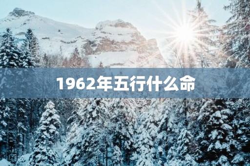 1962年五行什么命