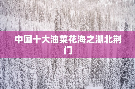 中国十大油菜花海之湖北荆门