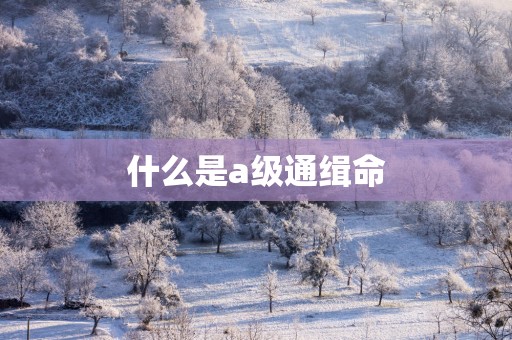 什么是a级通缉命