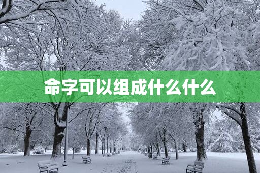 命字可以组成什么什么