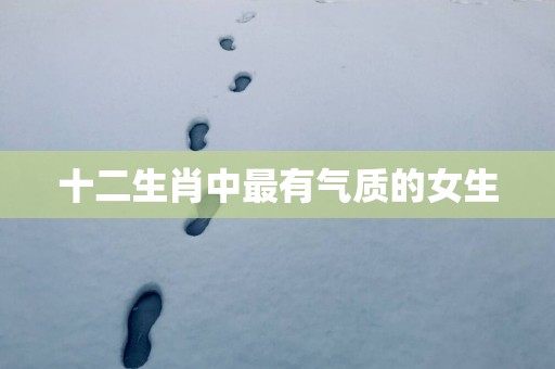 十二生肖中最有气质的女生