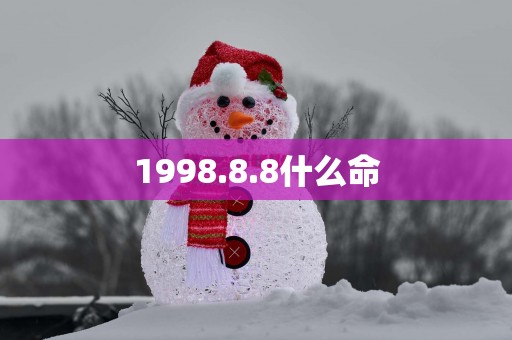 1998.8.8什么命