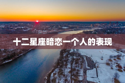 十二星座暗恋一个人的表现
