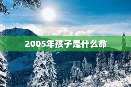 2005年孩子是什么命