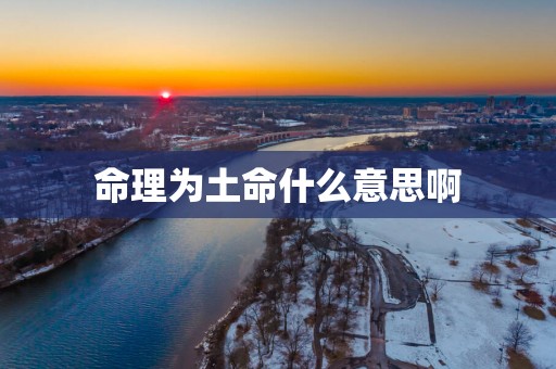 命理为土命什么意思啊