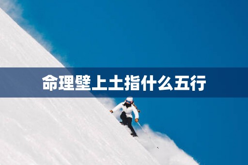 命理壁上土指什么五行