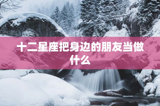十二星座把身边的朋友当做什么