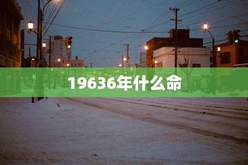 19636年什么命