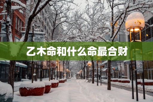 乙木命和什么命最合财