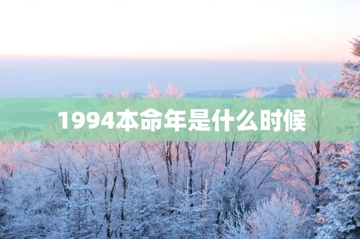 1994本命年是什么时候
