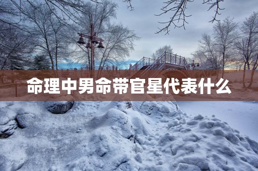 命理中男命带官星代表什么