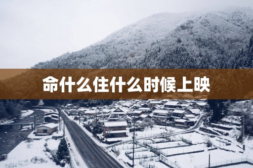 命什么住什么时候上映