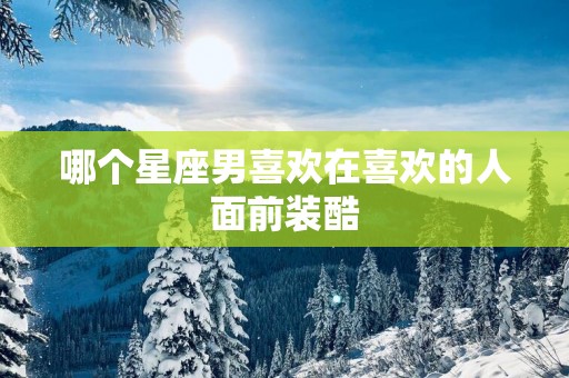 哪个星座男喜欢在喜欢的人面前装酷