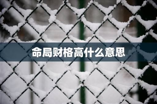 命局财格高什么意思