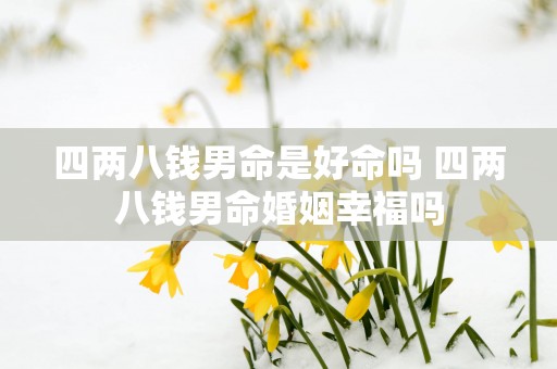 四两八钱男命是好命吗 四两八钱男命婚姻幸福吗