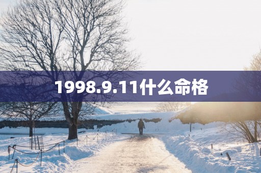1998.9.11什么命格