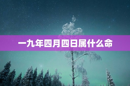 一九年四月四日属什么命