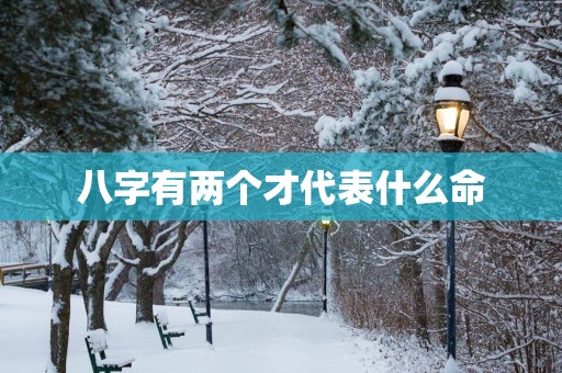 八字有两个才代表什么命