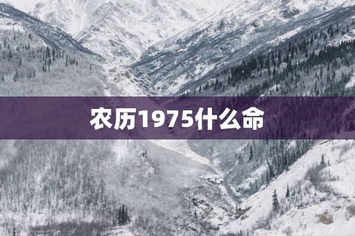 农历1975什么命