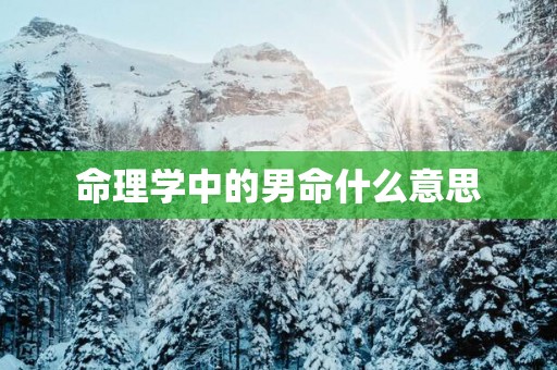 命理学中的男命什么意思