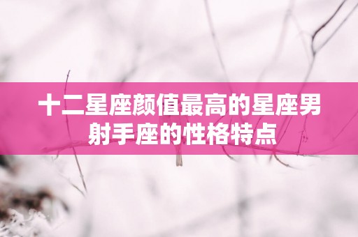 十二星座颜值最高的星座男 射手座的性格特点