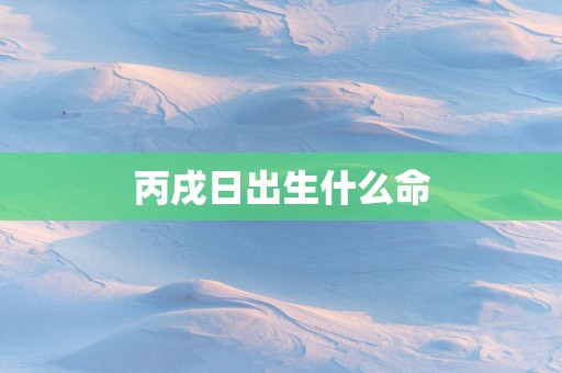 丙戌日出生什么命
