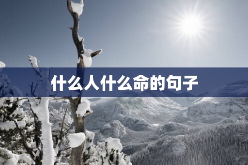 什么人什么命的句子