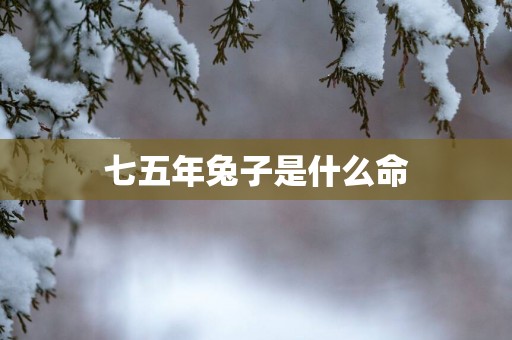 七五年兔子是什么命