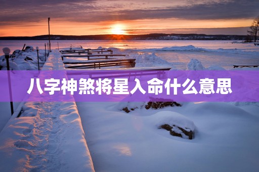 八字神煞将星入命什么意思