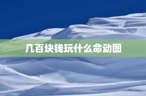 几百块钱玩什么命动图