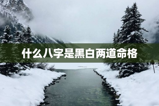 什么八字是黑白两道命格