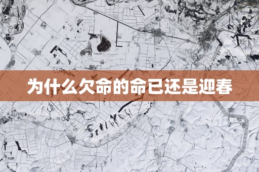 为什么欠命的命已还是迎春