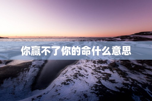 你赢不了你的命什么意思